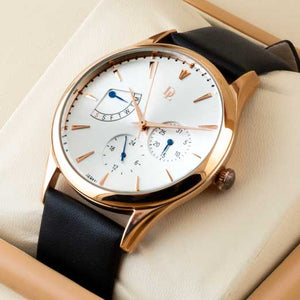 Delawrence Pristine Men's watch