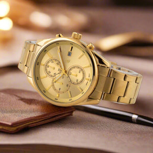 Delawrence Premium deluxe Chronograph Men's watch