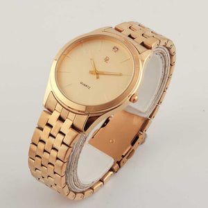 Delawrence Promaster Men's watch